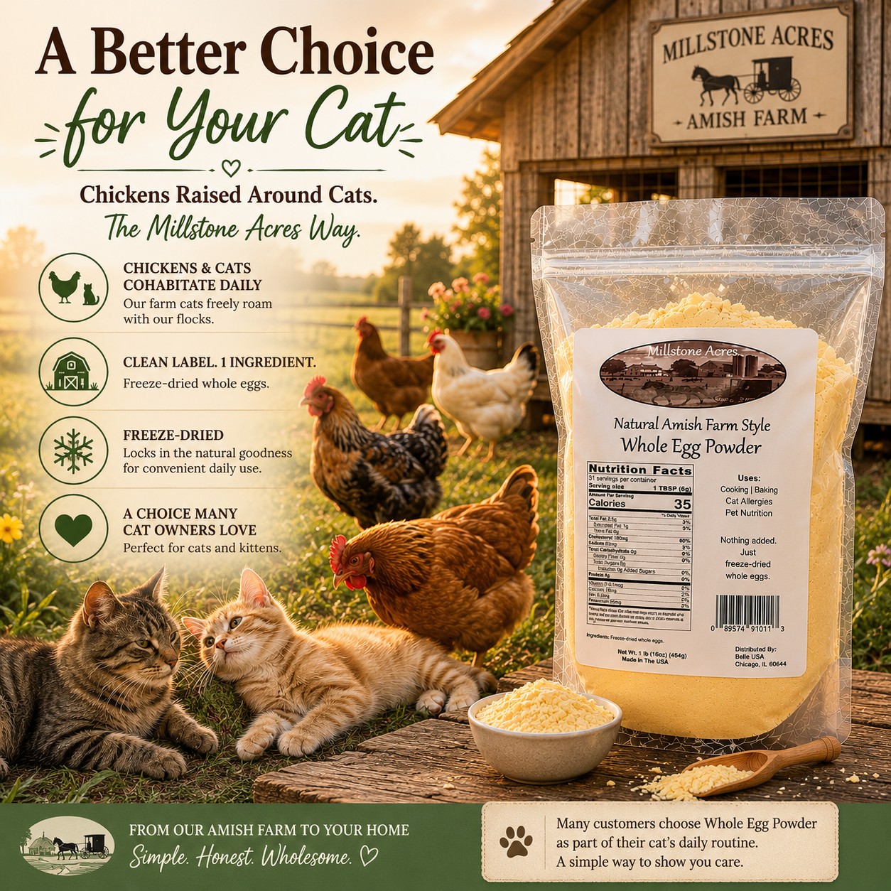 Millstone Acres Whole Egg Powder displayed on an Amish-style farm with chickens and cats living together naturally in a peaceful farm setting.